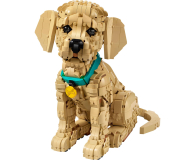 LEGO ICONS 11384 Szczeniak golden retriever - 1488997 - zdjęcie 3